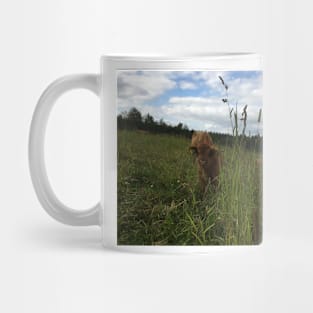 Scottish Highland Cattle Calf 1472 Mug